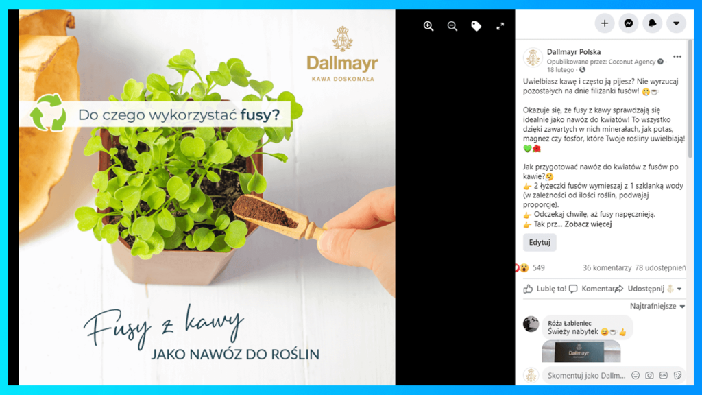 Case study - jak wypromować markę w social mediach od zera