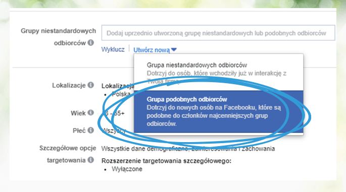 Sklep na Facebooku - grupy podobnych odbiorców