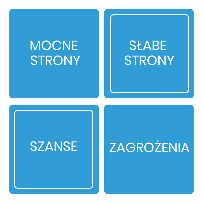 Strategia Marketingowa - Analiza Social Media