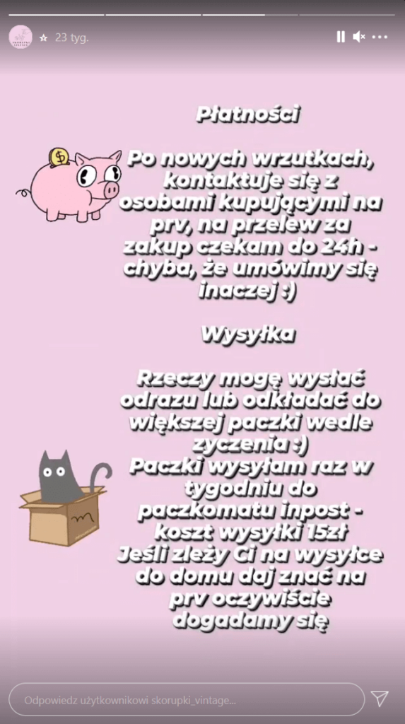 Przedstawienie marki na Insta Stories.