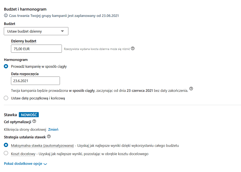 Określanie budżetu i harmonogramu kampanii na LinkedIn.