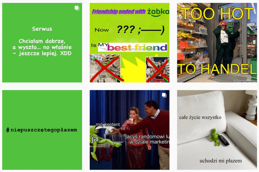 Frogshopposting – feed na Instagramie.