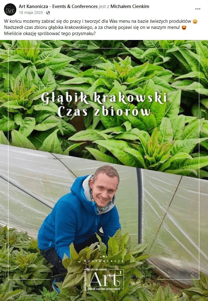 Post na FB restauracja Art Kanoniczna - czas zbiorów gąbika krakowskiego