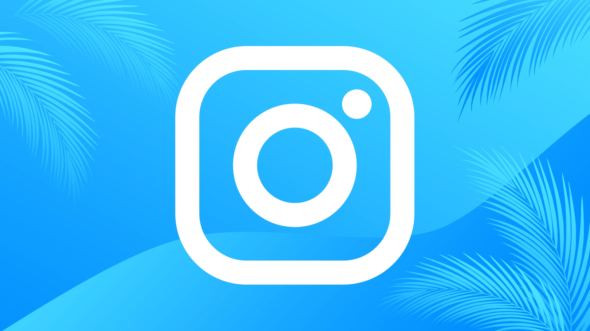 Instagram szkolenie marketingowe dla firm