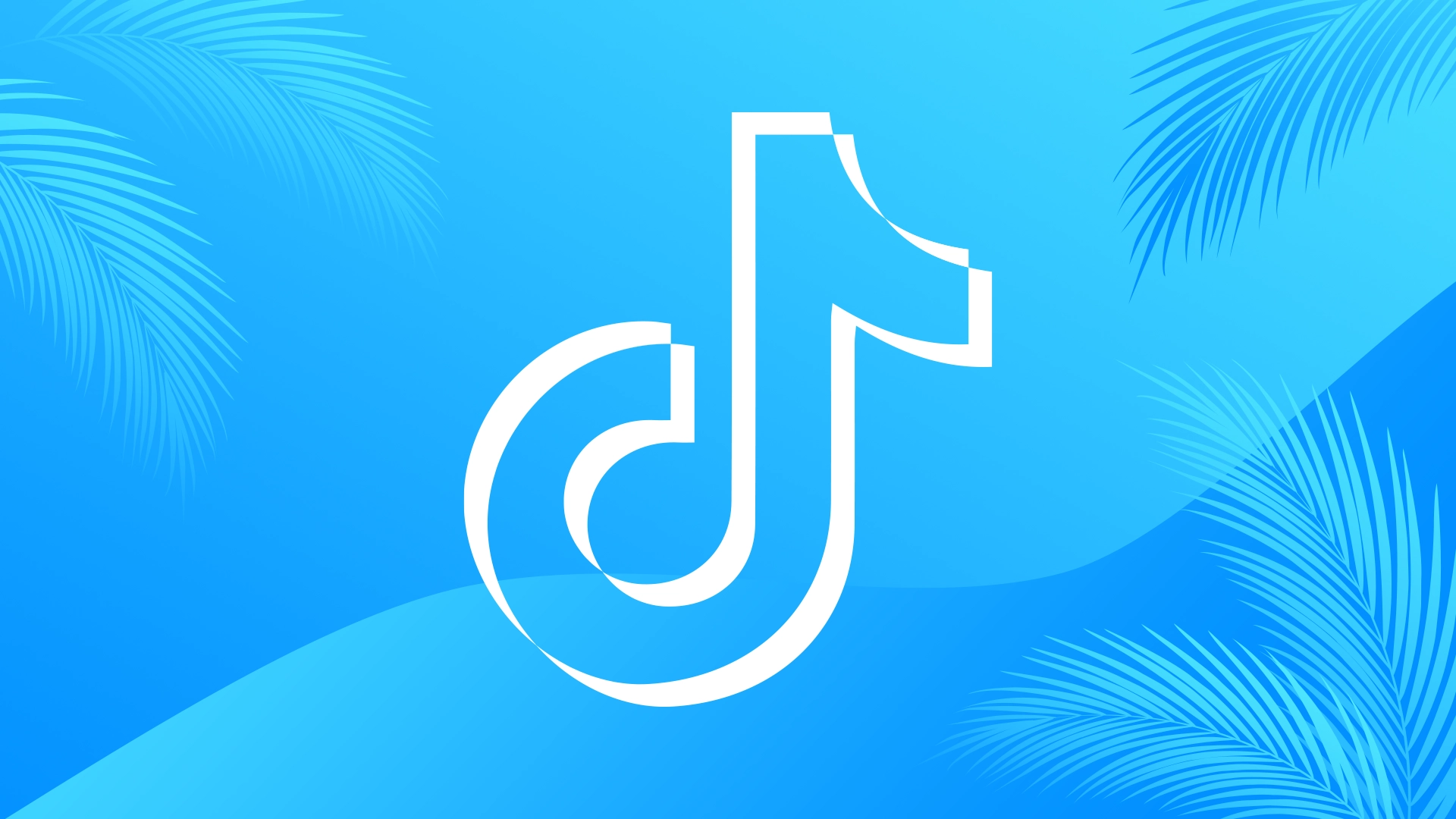 TikTok szkolenie marketingowe dla firm
